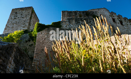 Altmühltal, parco naturale, Baviera, Baviera, castello, giardino, il giardino del castello, dark age, Medioevo, Germania, storia, Pappenh Foto Stock