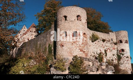 Altmühltal, parco naturale, Baviera, Baviera, castello, giardino, il giardino del castello, dark age, Medioevo, Germania, storia, Pappenh Foto Stock