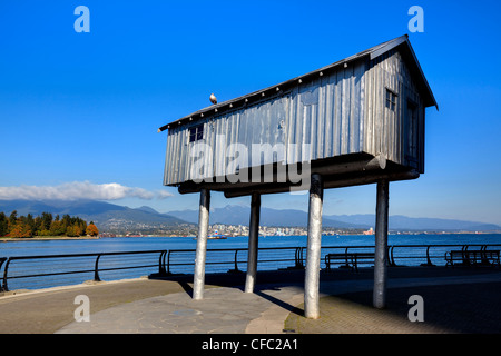 La luce artista Liz Magor mezza dimensione Foto Stock