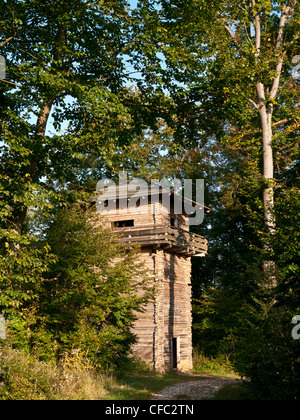 Altmühltal, parco naturale, il mondo antico, Baviera, Baviera, Germania, tigli, impero romano di età romana, periodo romano, watchtowe Foto Stock