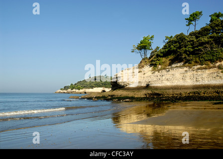 La spiaggia e le scogliere di Saint-Georges-de-Didonne a bassa marea in Francia, regione Charente-Poitou Foto Stock