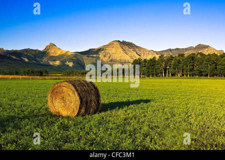 Singola balla di fieno in campo, le montagne del Parco Nazionale dei laghi di Waterton in background. Dei rulli di estrazione Creek, Alberta, Canada. Foto Stock