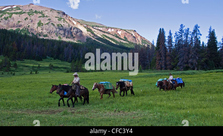 Pack in treno il paesaggio vulcanico dell'Arcobaleno Montagne in Tweedsmuir Park della Columbia britannica in Canada Foto Stock