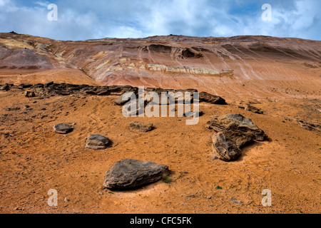 Namjafall, Hevrir, Islanda Foto Stock