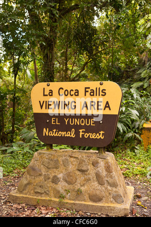 EL YUNQUE NATIONAL FOREST, PUERTO RICO - La Coca cade segno. Foto Stock