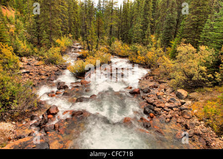 Creek, Morraine Lake Road, il Parco Nazionale di Banff, Alberta, Canada Foto Stock