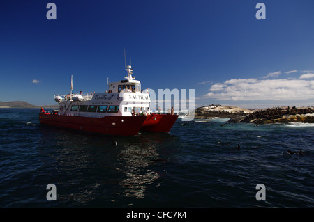 Gita in barca a Isola di tenuta, Cape Town, Sud Africa Foto Stock