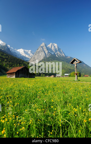 Prato con fiori di fieno, capannoni e edicola croce davanti alla Zugspitze gamma con waxenstein, Garmisch-Partenkirchen, Wetterstei Foto Stock