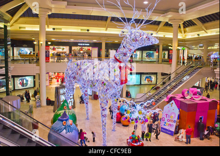 Metro Centre, Gateshead, Newcastle, Tyne and Wear, England, Regno Unito Foto Stock