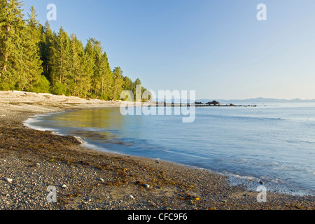 Una immagine di panorama di Sombrio Beach sull'Isola di Vancouver, BC, Canada. Foto Stock