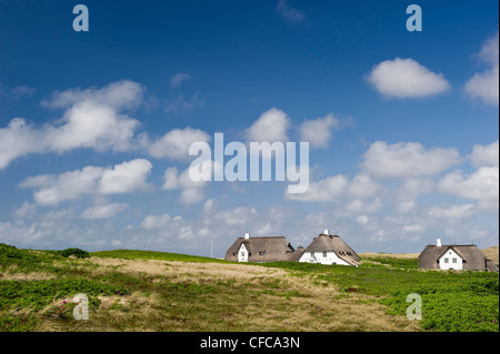 Case col tetto di paglia, Kampen, Sylt, Schleswig-Holstein, Germania Foto Stock