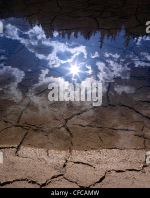 Sun, gli alberi e le nuvole che si riflette in una pozza in un dry lake bed a lago di sbarramento a Kananaskis Country, Alberta, Canadian Rockies. Foto Stock