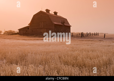 Frosty mattina,azienda abbandonata vicino Ponteix, Saskatchewan, Canada Foto Stock