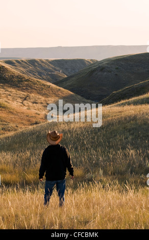 Escursionista lungo il sud del Fiume Saskatchewan vicino a Sandy Point Park a nord di Medicine Hat, Alberta, Canada. Foto Stock