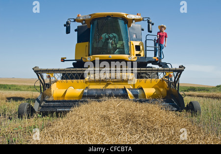 Un agriturismo teenage ragazza sul ponte di una mietitrebbia durante il raccolto di canola, Tiger colline, Manitoba, Canada Foto Stock