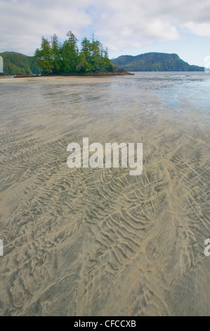 San Giuseppe Bay, a nord di Isola di Vancouver, British Columbia, Canada. Foto Stock