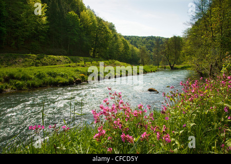 River a valle Wiesent, Fraenkische Schweiz, Franconia, Baviera, Germania, Europa Foto Stock