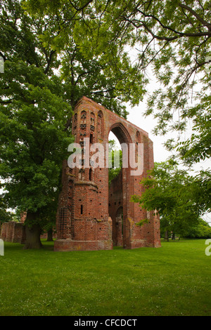 Rovine del monastero di Eldena, vicino a Greifswald, Mar Baltico, Meclemburgo-Pomerania Occidentale, Germania Foto Stock