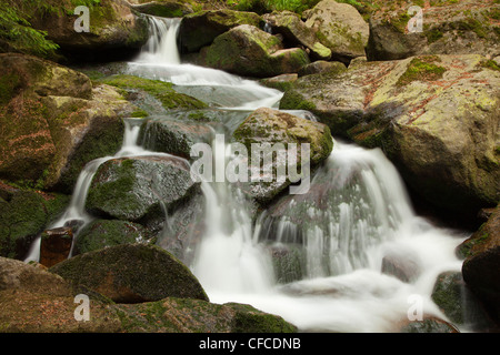 Ilse falls, Ilse valley, Heinrich-Heine sentiero escursionistico vicino a Ilsenburg, montagne Harz, Sassonia-Anhalt, Germania Foto Stock