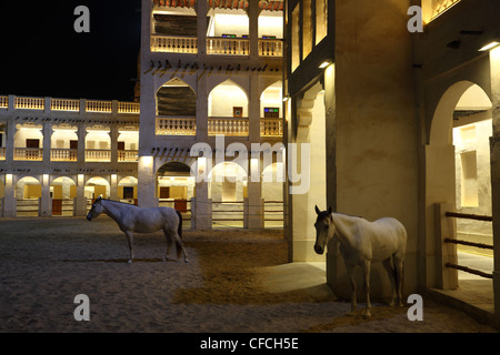 Cavalli arabi nel Souq Waqif, Doha in Qatar Foto Stock