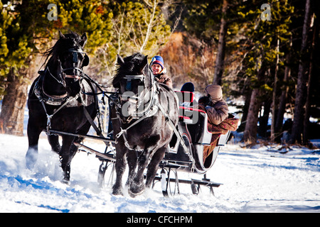 Una famiglia siede sotto le coperte in inverno sulla neve riempito Sleigh Ride. Mentre una slitta è tirato da due cavalli neri. Foto Stock
