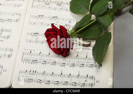 Rosa rossa e la vecchia nota prende atto di amore alla musica di sottofondo Foto Stock
