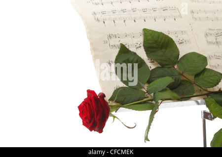 Rosa rossa e la vecchia nota note amare la musica di sfondo bianco Foto Stock