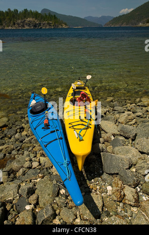 Colorato kayak tirato verso l'alto lungo le rive della desolazione attendono il suono dei loro proprietari. Desolazione Suono, British Columbia, Canada. Foto Stock