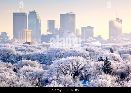 Lo skyline di Winnipeg e trasformata per forte gradiente coperto di brina alberi, in un giorno d'inverno. Winnipeg, Manitoba, Canada Foto Stock