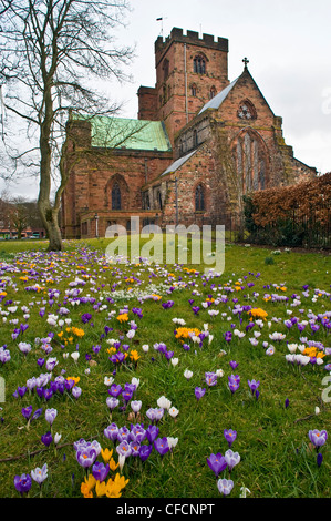 Crochi accanto alla Cattedrale di Carlisle Cumbria Inghilterra England Foto Stock