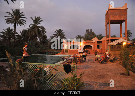 Piscina im Camping Le Palmeraie, Agdz, Valle di Draa, Sud dell'Alto Atlante, Marocco, Africa Foto Stock