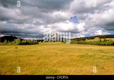 Nuvole che si muovono su montagne, Crowsnest Pass, Alberta, Canada Foto Stock