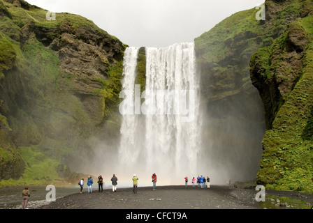 Skogarfoss, il potente cascata a tendina gocce 60 m su una rupe di basalto lave, south coast, Islanda, regioni polari Foto Stock