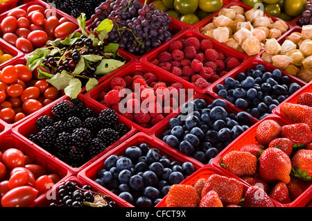 Jean Talon Mercato, frutti di bosco freschi sul display, Montreal, Quebec, Canada. Foto Stock