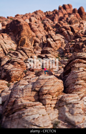 Montare una giovane donna asiatica a praticare yoga durante una scalata su roccia viaggio, Red Rocks, Las Vegas, Nevada, Stati Uniti d'America Foto Stock