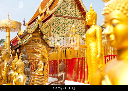 Wat Doi Suthep, Golden Statue di Buddha e la ricca architettura buddista, tempio buddista su una montagna, Chiang Mai, Thailandia, Asia Foto Stock