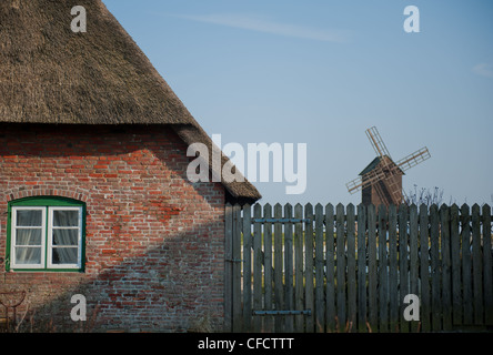 Frisone tradizionali case Ketelswarf su Hallig Langeneß, un 'isola " nel sito UNESCO il Wadden Sea della Germania del nord Foto Stock