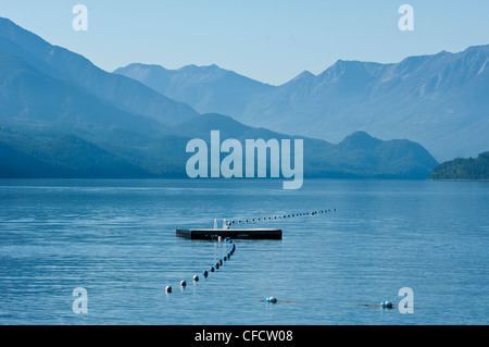 Area nuoto presso il parco cittadino al Lago Slocan, Nuova Denver, British Columbia, Canada Foto Stock