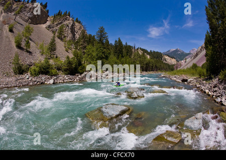 Un maschio di kayaker pagaie il fiume Wigwam, classe 4 in Fernie, British Columbia, Canada Foto Stock