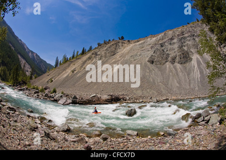 Un maschio di kayaker pagaie il fiume Wigwam, classe 4 in Fernie, British Columbia, Canada Foto Stock