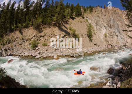 Un maschio di kayaker pagaie il fiume Wigwam, classe 4 in Fernie, British Columbia, Canada Foto Stock