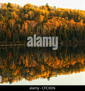 I colori dell'autunno riflesso in un lago, Algonquin Provincial Park, Ontario, Canada. Foto Stock