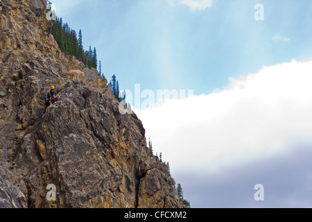 Un maschio di rocciatore incontra una capra di montagna mentre cimbing Takakaw cade 5.6, Parco Nazionale di Yoho, British Columbia, Canada Foto Stock