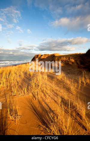 Le dune di sabbia e di erba Marram, Brackley, Prince Edward Island National Park, Prince Edward Island, Canada Foto Stock