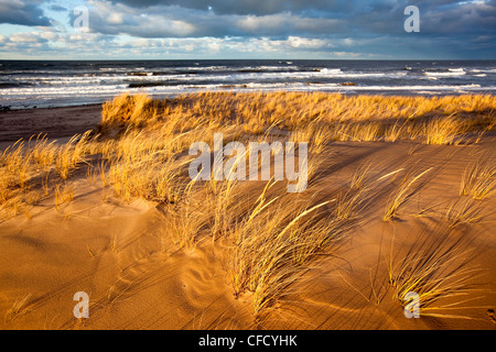 Le dune di sabbia e di erba Marram, Brackley, Prince Edward Island National Park, Prince Edward Island, Canada Foto Stock