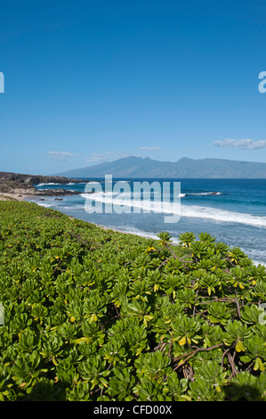 Shorline a Kapalua, Lanai in distanza, Maui, Hawaii, Stati Uniti d'America Foto Stock