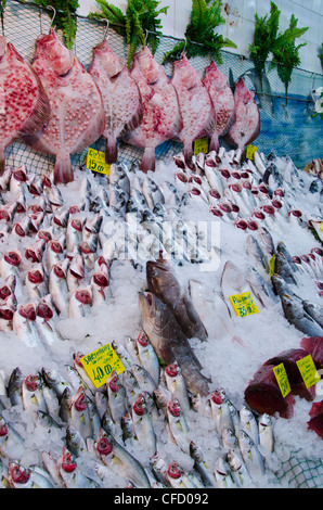 Mercato del pesce a Kadikoy, lato Asiatico del Bosforo, Istanbul, Turchia Foto Stock