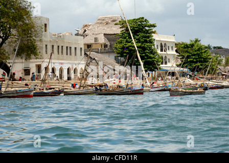 Vew dal mare del porto, la Città Vecchia, l'isola di Lamu, Sito Patrimonio Mondiale dell'UNESCO, Kenya, Africa orientale, Africa Foto Stock