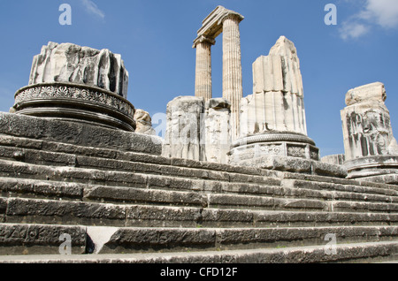 Didyma, un antico santuario del Mar Ionio, nei moderni Didim, Turchia, contenente il Tempio di Apollo, il Didymaion. Foto Stock