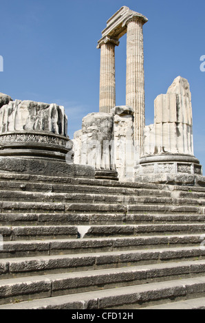 Didyma, un antico santuario del Mar Ionio, nei moderni Didim, Turchia, contenente il Tempio di Apollo, il Didymaion. Foto Stock